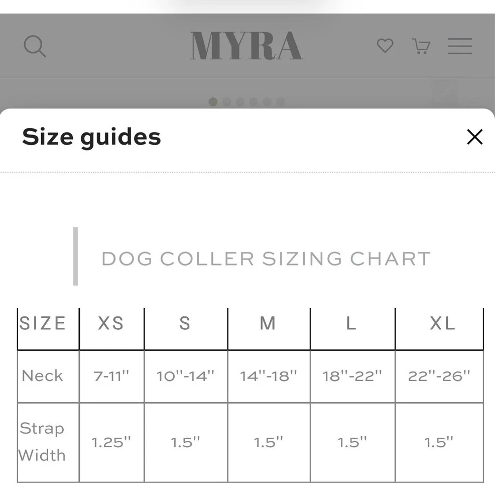 Myra Bag Hair-on-Hide Dog Collar Brown White Spotted Cowhide Bone Studs NEW XL
